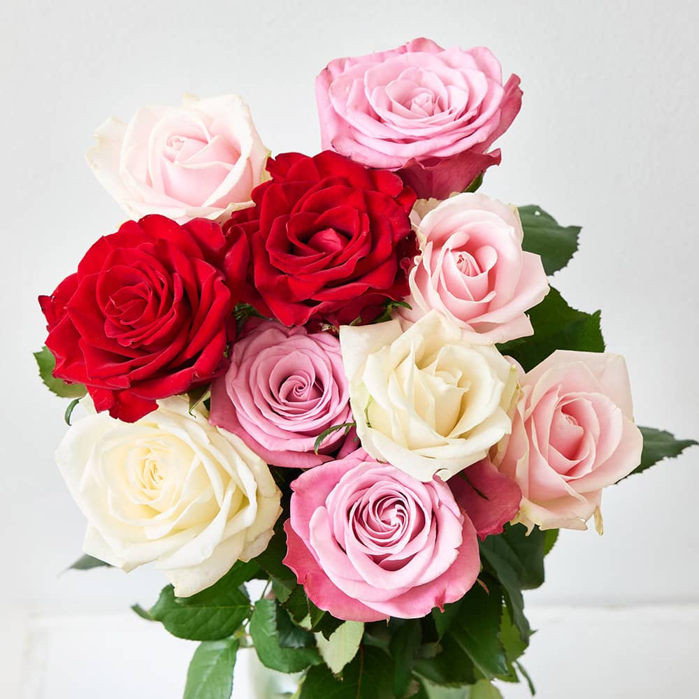 初回にお届けする、白、ピンク、赤色の10本のバラ